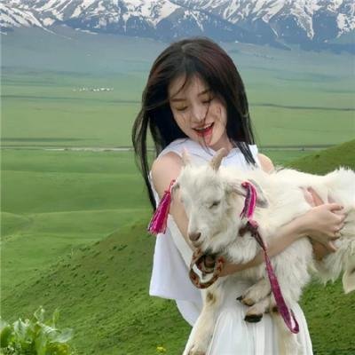 极速小绵羊