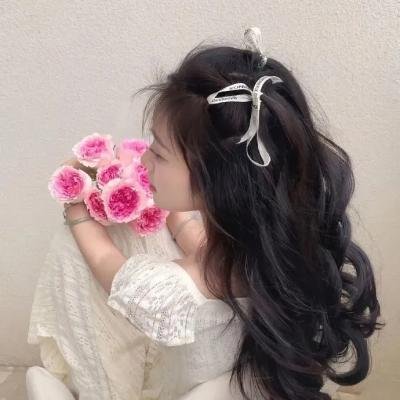 美丽的声音